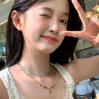 科搜研之女第24季